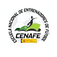 CENAFE logo - Similar company to Stat Scout