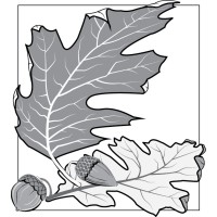 Two Oaks Studio,llc logo - Similar company to Arkitek: Design & Architecture Llc