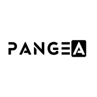 Pangea Savunma logo - Similar company to Cindoruk Technology