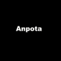 Anpota logo - Similar company to Bracur Group