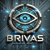BRIVAS II logo - Similar company to Bravis Security