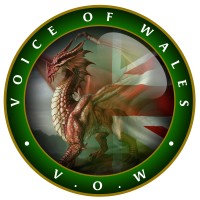 Voice of Wales logo - Similar company to Windsor Speakers (Toastmasters)
