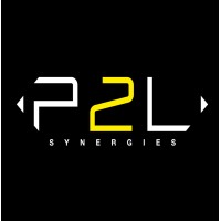 P2L Synergies logo - Similar company to Groupe Lna 2021 Inc.