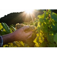 DOMAINE POIRON DABIN logo - Similar company to Les Trois Toits Winery