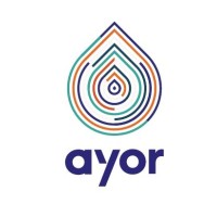 Groupe AYOR logo - Similar company to Nk Analytics