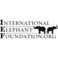 International Elephant Foundation logo - Similar company to African Forest Elephant Foundation