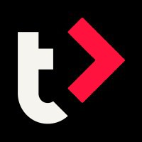 Teamleiders.nu logo - Similar company to Coniche