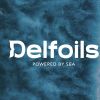 Delfoils logo - Similar company to Blu Marketing App