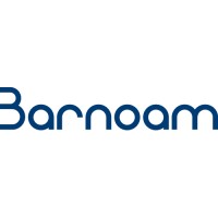 Barnoam & Co Ltd. logo - Similar company to Alta Innovation Ltd