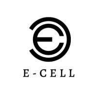 E-Cell NMIMS Navi Mumbai logo - Similar company to Dd Technologies
