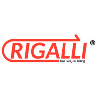 RIGALLI SPAIN logo - Similar company to Mytransfer.App