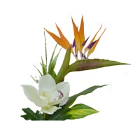 Artiiplant logo - Similar company to Flor-Tex