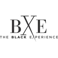 The Black Experience logo - Similar company to Baker Enterprises Retail