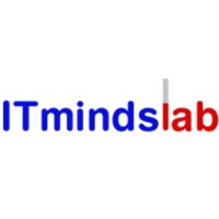 IT Mindslab logo - Similar company to Roilift