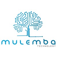 Mulemba Technology - Consultora e TI logo - Similar company to Network Manager Center