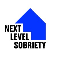 Next Level Sobriety logo - Similar company to Teeg Solutions