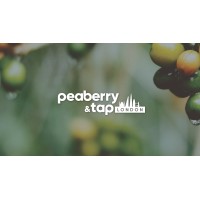 Peaberry & Tap Limited. logo - Similar company to Brüud