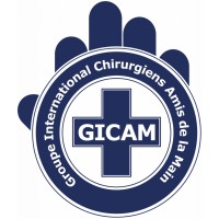 GICAM Foundation logo - Similar company to Flatman