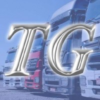 TRANSGURGEL TRANSPORTE DE MÓVEIS SENSÍVEIS logo - Similar company to Tropics - Gestão Inteligente De Transporte