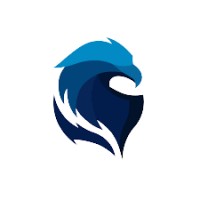 Falcon Tech Solutions logo - Similar company to Falcon Tech Solutions