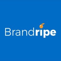 Brandripe logo - Similar company to 1Web