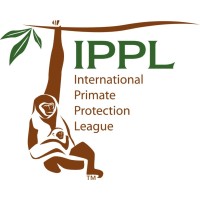 International Primate Protection League