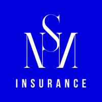 NSN Insurance logo - Similar company to Dhd Insurance Ltd