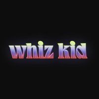 whiz kid logo - Similar company to Kickso