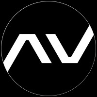 MetaVox International logo - Similar company to Smartentity - Technologies & Consultancy
