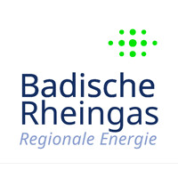 Badische Rheingas GmbH logo - Similar company to Service Allstars