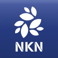 NKN.ORG logo - Similar company to Nkn Labs