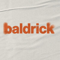 Baldrick logo - Similar company to Potemkino