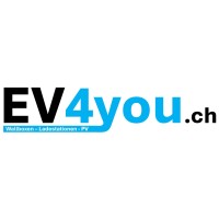EV4you.ch  BERNET CONSULTING logo - Similar company to Ton Total Optical Networks Ag