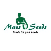 Maes Seeds logo - Similar company to Ngs Seeds