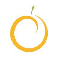OrangeStreet Software (PTY) Ltd logo - Similar company to Devsavvy