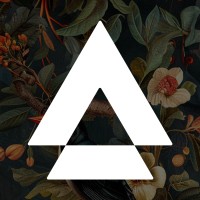 APLYiD logo - Similar company to Emerging Engines