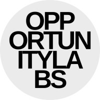OpportunityLabs logo - Similar company to Ray Global Digital