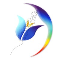 The Being Human Foundation logo - Similar company to Subhash Chandra Foundation