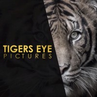 Tigers Eye Pictures logo - Similar company to Étoile Entertainment Llc