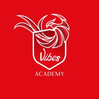 Vibes Academy logo - Similar company to Gateway Nv
