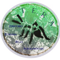 T.E.R.A. SOLUZIONI logo - Similar company to Consis - Hardware, Software, Soluzioni Informatiche