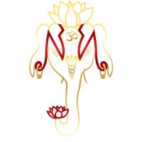 Narayanee Multispeciality Clinic logo - Similar company to Svasthiya Technologies