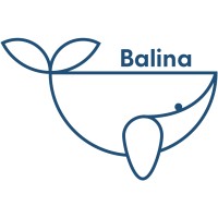 Balina logo - Similar company to Gebosoft