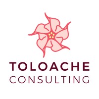 Toloache Consulting logo - Similar company to Ironclad Consulting Services