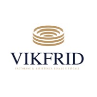 VikFrid Consulting logo - Similar company to Hermes Management Consulting