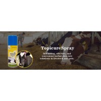 Topicuredsl logo - Similar company to Igoglobal International Inc