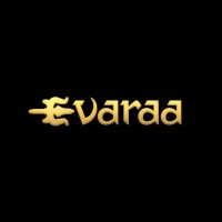 EVARAA INDIA logo - Similar company to Freyusion