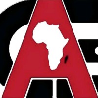 African Civic Engagement Academy Alumnis logo - Similar company to Budgit Information Technology Network