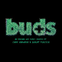 Buds The Web Series logo - Similar company to Top Left Design