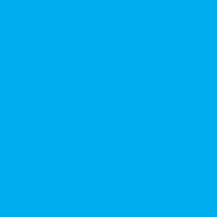 Nakamura Partners logo - Similar company to Accent Advisors
